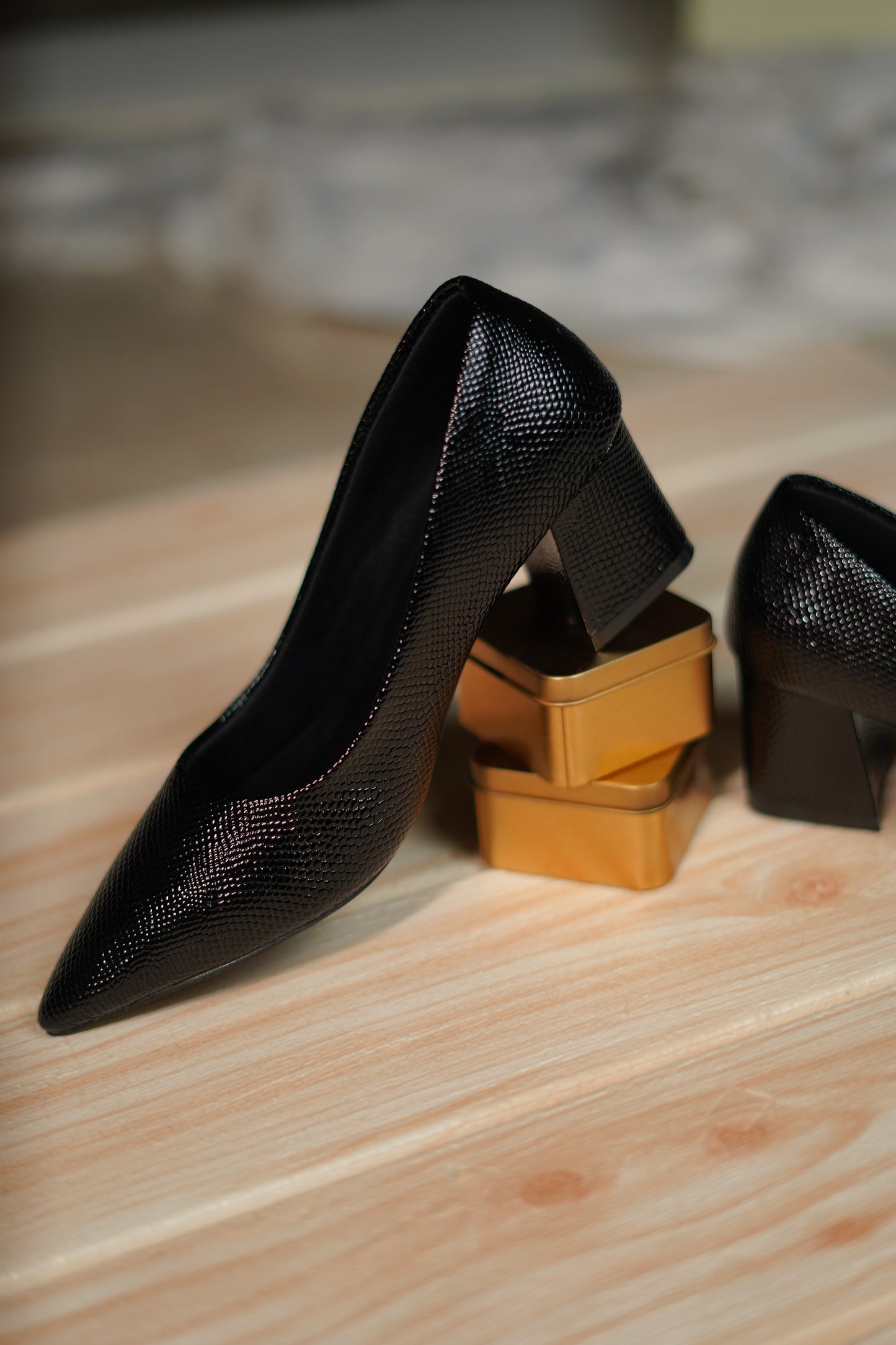 POINTEER -LEATHER BELLIES